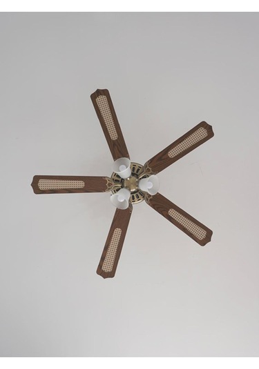 Woox İleri Geri Fonksiyonlu 5 Kanatlı Fan Ve Işıklı Uzaktan Kumandalı Tavan Vantilatörü,kahverengi