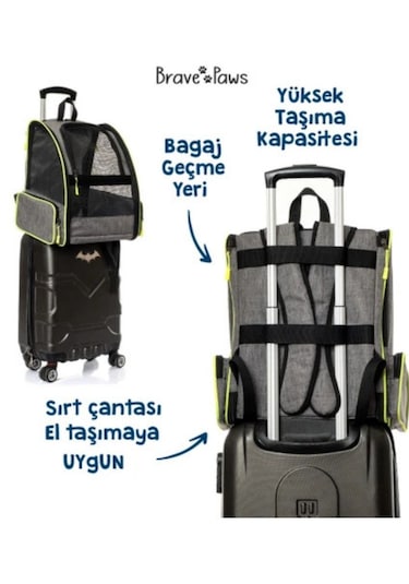 Brave Paws Kedi Köpek Çantası Yıkanabilir Hava Alan Piramit Model