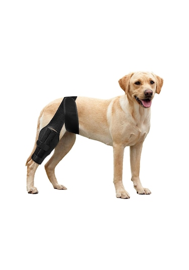Vkemall Köpek Diz Ve Eklem Destekli Protektör - Acl Hasarı, Patella Çıkığı İçin Rehabilitasyon Bandı - Siyah M