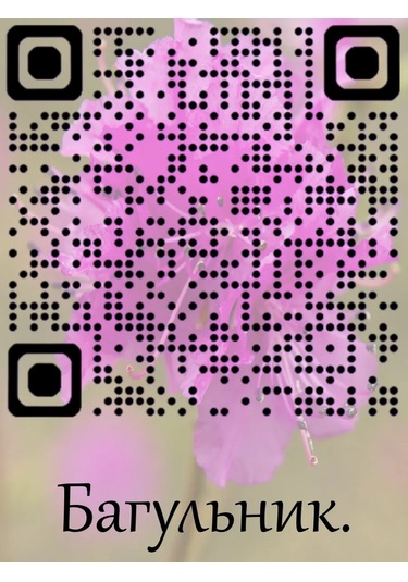 Bagul'nik Sıvı Yalıtım Bandı 214991478