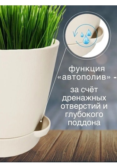 Interm Menekşeler, Sukulentler Ve Kaktüsler İçin Küçük Çiçek Saksısı 52390371