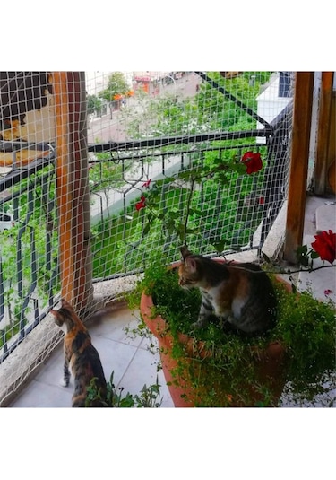 Nzl File Ambalaj Kuş Filesi - Kedi Filesi - Balkon Filesi - Kedi Ağı - 2 Cm Gözenekli - 1.5 Mm
