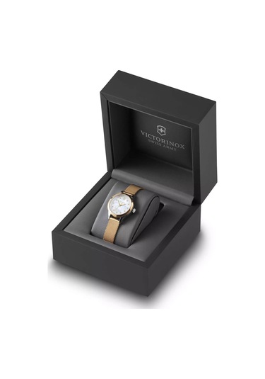 Victorinox Alliance Xs Vs 241879 Bordo