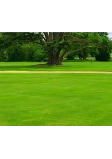 Botanika Granül Çim Besleyici 10 KG 5410