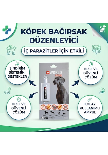 Köpek Bağırsak Parazitleri