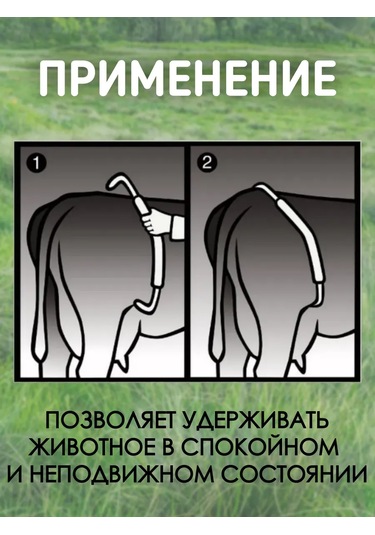 Exmork Koyunlar İçin Galvanizli Çelik Adjustable Boğa Yelpazesi 1 Adet 306868274