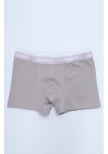 Toontoy Erkek Çocuk Kemer Yazı Baskılı 4lü Paket Boxer Çok Renkli