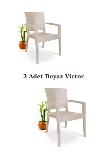 2 Adet Rattan Victor Kollu Sandalye Koltu Sandalye Koltuk 2'li S