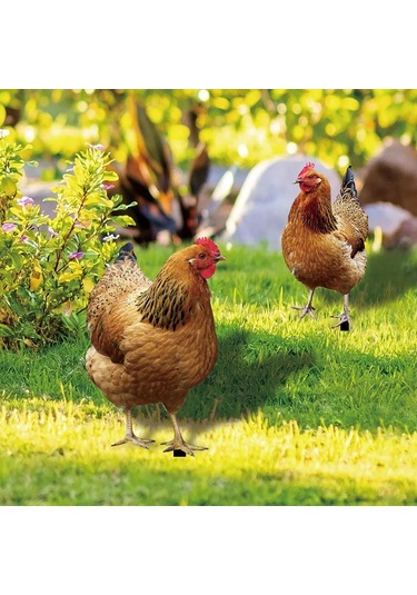 Qingmipy Bahçe Dekorasyonu Piliç Şekilli Akrilik Toprak Takımı - Dış Mekan Bahçe Zemin Süs Yklu076