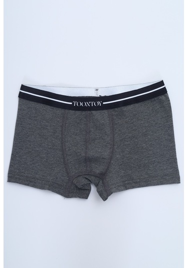 Toontoy Erkek Çocuk Yazı Baskılı 4lü Paket Boxer Çok Renkli