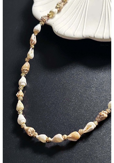 Deniz Kabuğu Kolye 425, Bej - Beyaz Çok REnkli
