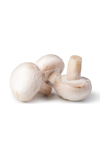 Eko Paket Kültür Mantarı Tohumu Beyaz Şapkalı Kültür Mantarı Tohumu 100 Tohumu +sürpriz Hediye Tohum