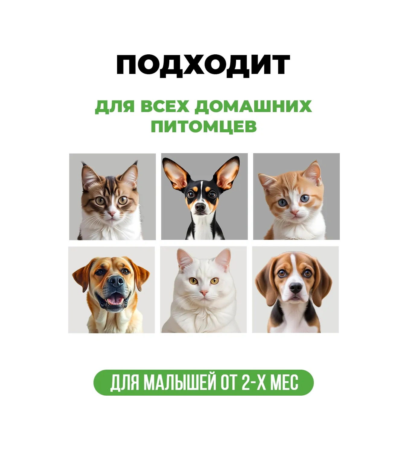 Spets Köpek Ve Kediler İçin Kulak Temizleme Losyonu, 100 Ml 250104391