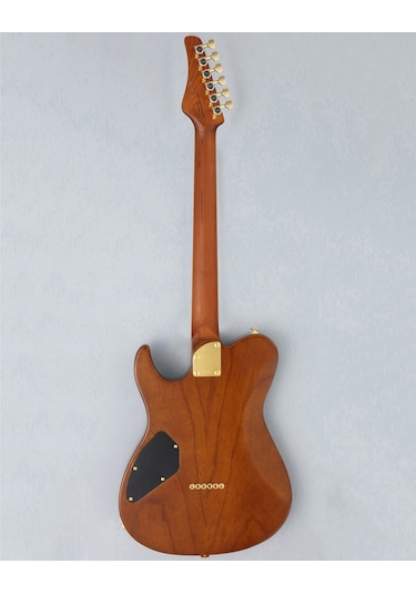 Fujigen Iliad Elektro Gitar Eılew1hsrm/hcb