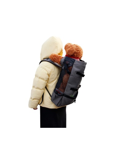 Homyl Kedi Ve Küçük Köpek Seyahat Kamp Yürüyüş Için