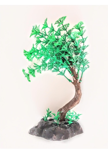 Fatih-pet Bonsai Ağaç Akvaryum Bitki