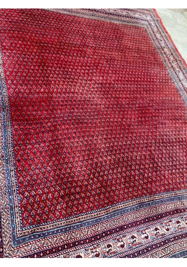 Antika Yüne Pamuk El Dokuma Sarough Iran Halısı 3X3,60M