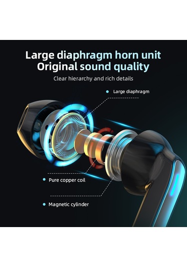 Skycity Bq02 Kablosuz Bluetooth Kulaklık: 5.0 Teknolojisi, Hıfı Ses, Çift Bağımsız Host, Uzun Pil Ömrü, Siyah