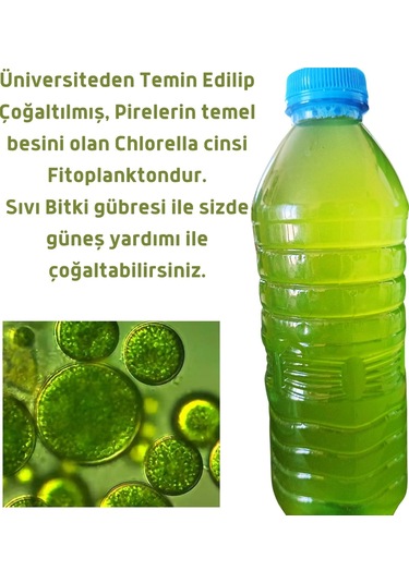 Mawrond Fitoplanktonlu Yeşilsu Chorella Yosunu 500 ML