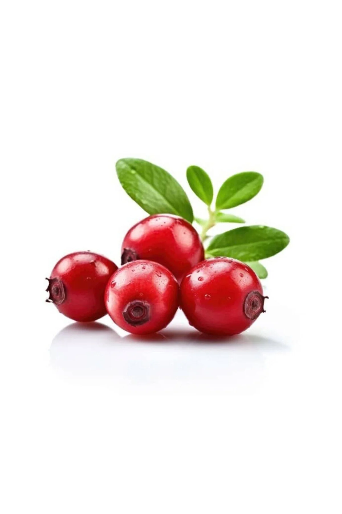 Dafa Kızılcık Suyu 250 ML