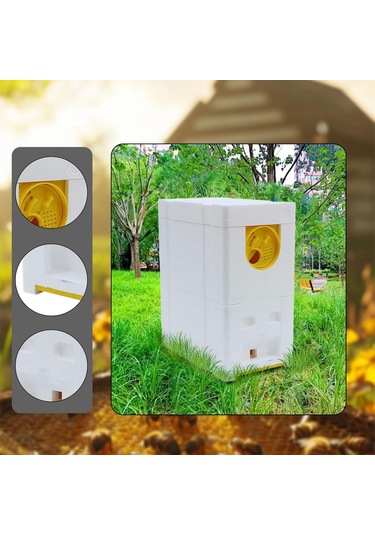 Homyl Kraliçe Arı Yetiştirme Kutusu Köpük Kovanı Bahçe