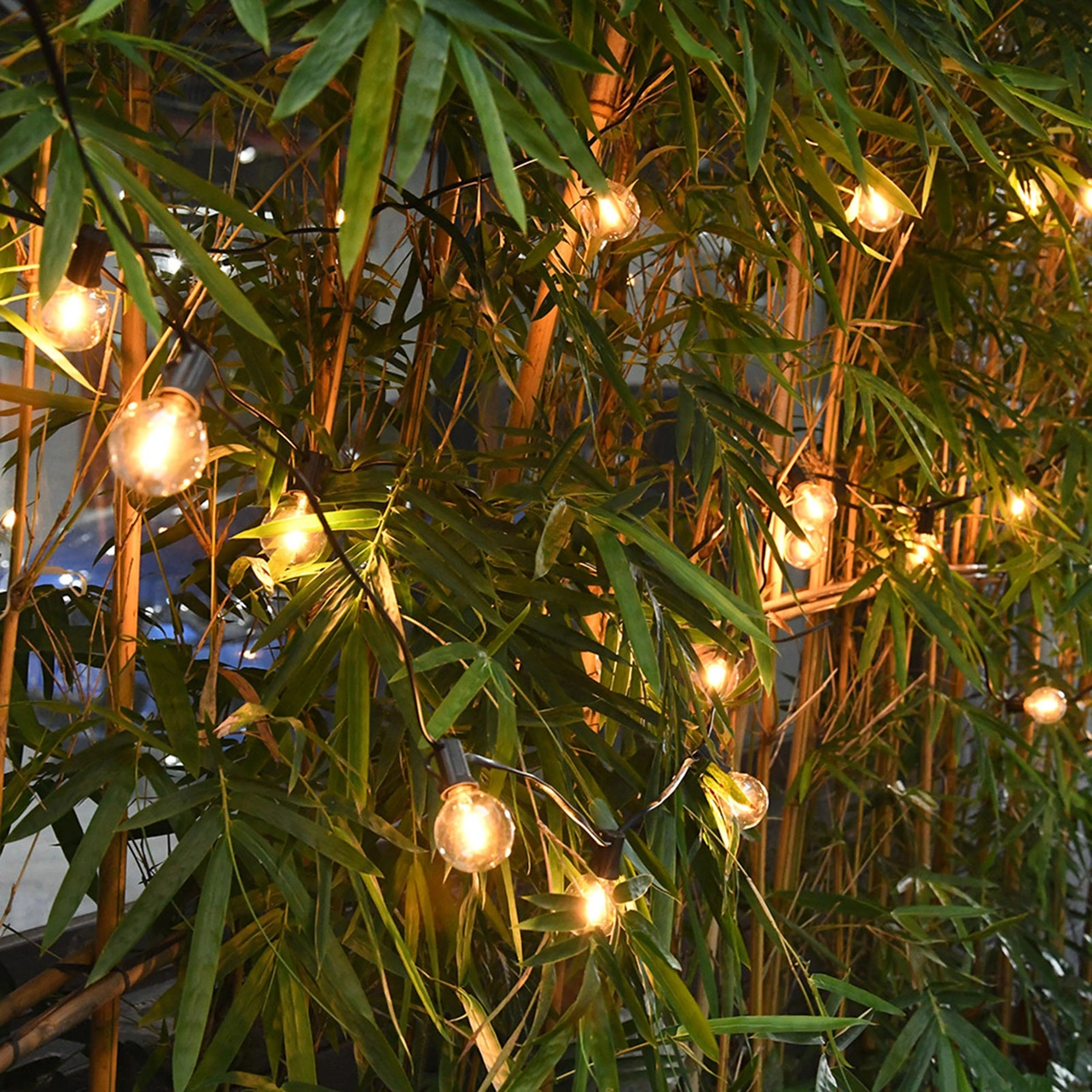 Youmex G40 Led Ampul E12 Yuva 1w 220-230v Islak Beyaz Işık, 3 Adet Ithalat, Aydınlatma Ve Dekorasyon İçin Uygun