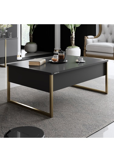 Luxe Gold Demir Ayaklı Antrasit Orta Sehpa Antrasit - Gold