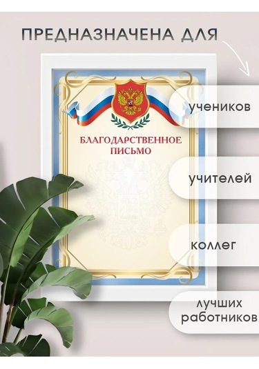 Pro Bel Başlıklı Şükran Mektubu Seti 20 Parça 360629313