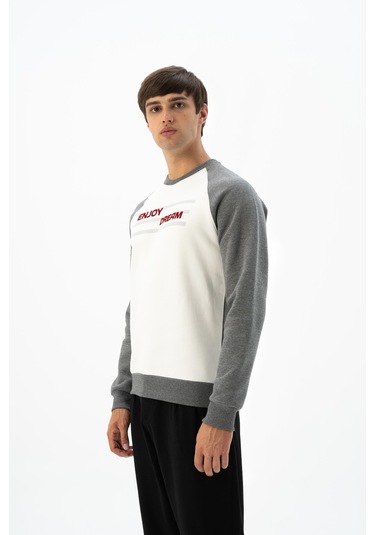 Arma Erkek Büyük Beden Bisiklet Yaka Sweatshirt K24124884401 Ekru Arma Erkek Büyük Beden Bisiklet Yaka Sweatshirt K24124884401 Ekru