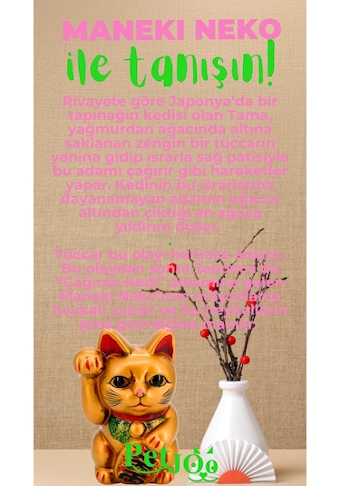 Petjoo 4.Maneki Neko Yeşil-Pembe Qr'lı Kedi Künyesi