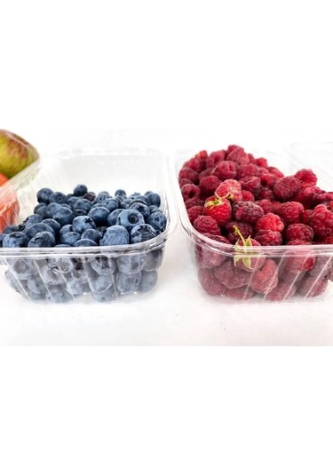 Tpt Kapaksız Tek Kullanımlık Plastik Kaplar 10 Adet 171604887 100 adet