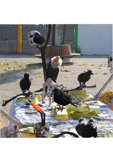 Neevoyu 6 Adet Siyah Tüylü Taklit Kargalar - Halloween Parti Dekorasyonu, İç/diş Mekan Dekoratif Figürler