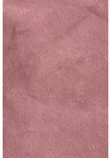 Enesar Home Tay Tüyü Premium Döşemelik Kumaş Taytüyü Gül Kurusu 100 x 140 cm