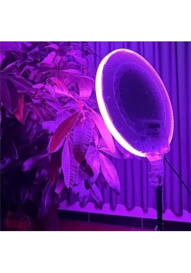 Nettech Cs-2600 Rgb Ringlight 8 İnç Led Işık