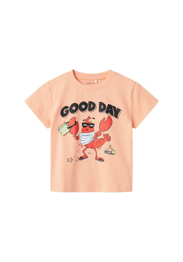 Name It Nmmfısh Nreg Ss Top Box Pembe Erkek Çocuk Kısa Kol T-shirt Pembe