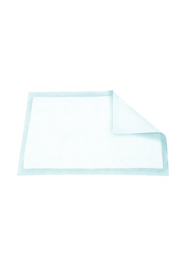 Canped Hasta Yatak Koruyucu Örtü 2 x 10'lu 60 x 90 CM