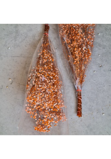 Konak Züccaciye Şoklanmış Doğal Cipso Bağı Turuncu