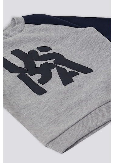 U.s. Polo Assn. Erkek Bebek Gri 2'li Takım Gri