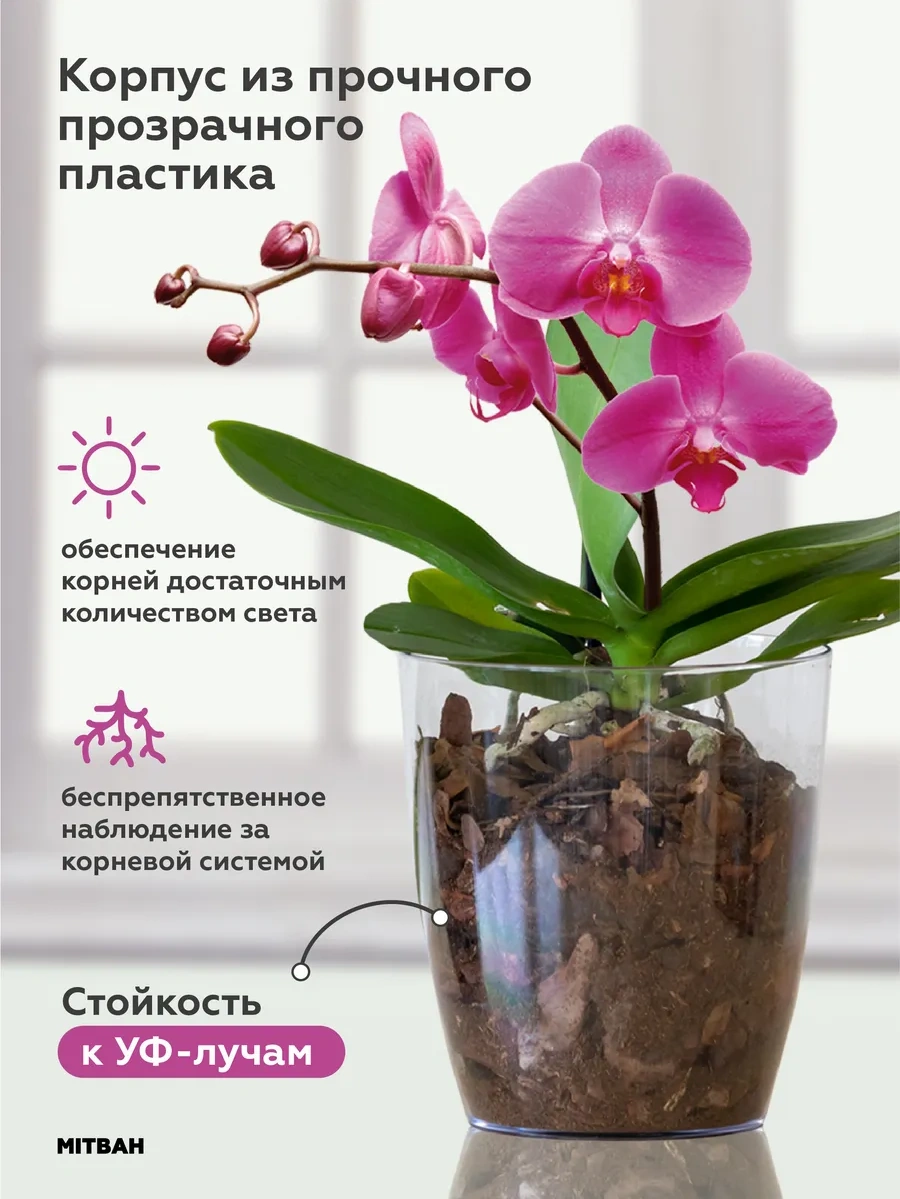 Mıtbah Şeffaf Saksı, Orkide Saksısı 162371065