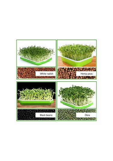 Jeehugo Ev Bahçesi İçin Isı Sağlayan Yemek Kalitesi Pp Fide Tepsisi, Kök Mantarlaşmasını Engelle, Hava Dolaşımı Sağlar, Kapaklı Sebze Yetiştirme Seti