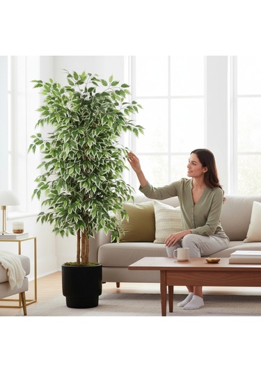 Yapay Ficus Ağaç 150 Cm Siyah Vega Saksı Yeşil
