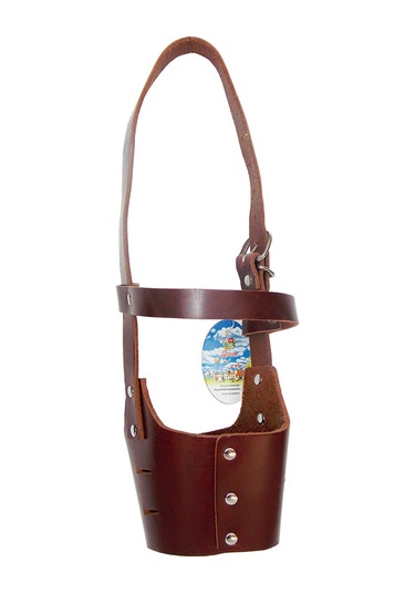 Percell Deri Köpek Ağızlık Büyük