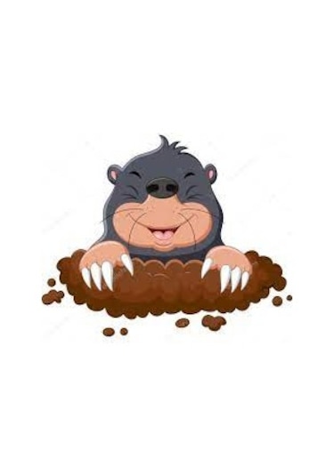 Kösnü Köstebek Ocağı Toprağı