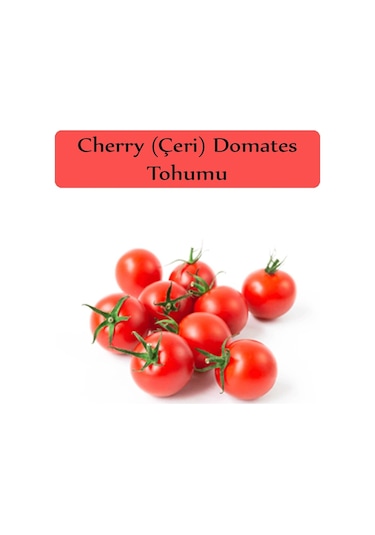 Çeri Domates Tohumu Cherry Domates Tohumu 400 Adet Tohum
