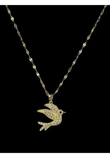 Kadın Çelik Kolye - Kçk-25 Çok Renkli