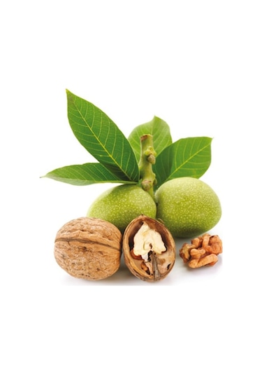 İZMİR TİRE YAMANDERE KÖYÜ TAZE KABUKLU CEVİZ 1 KG