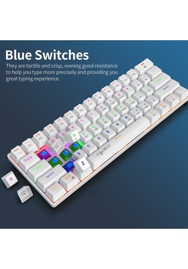 Hxsj V900 Kablolu 61 Tuşlu Kompakt Mekanik Klavye Rgb