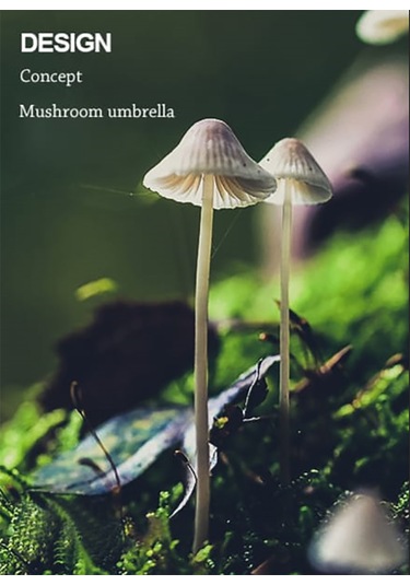 Simaavize Modern Black Led Aplik -şarzlı -gün Işığı Siyah