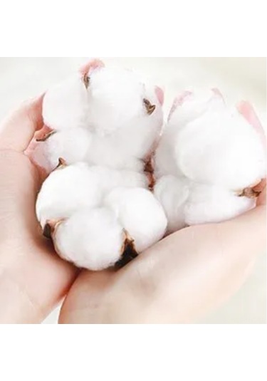 Hangfox Bebek Yürüme Eğitimi Korumalı Şapka - Dürtme Ve Düşme Engeli, Yumuşak Malzeme, Şok Emici, Hafif Ve Nefes Alıcı Çok Renkli