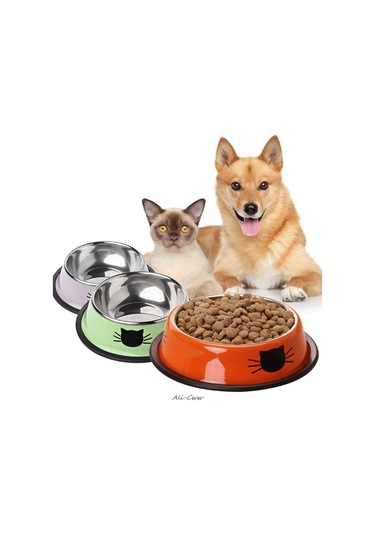 Sones Kaymaz Pet Paslanmaz Çelik Boyalı Kedi Maması Besleyici